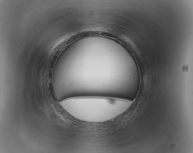 X0000113251064200909171620