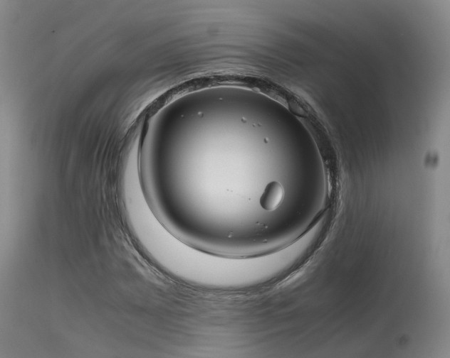 X0000113251065200909171620