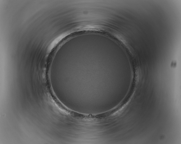 X0000113251066200909171620