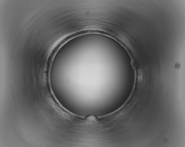 X0000113251068200909171620