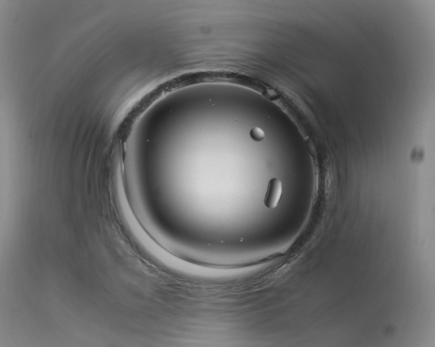 X0000113251069200909171620