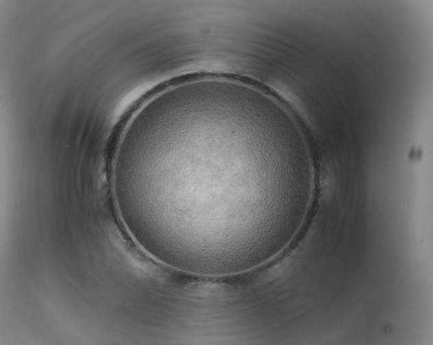 X0000113251070200909171620