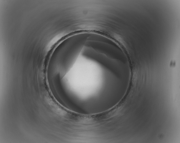 X0000113251071200909171620