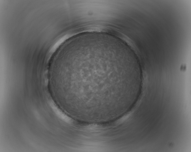 X0000113251075200909171620