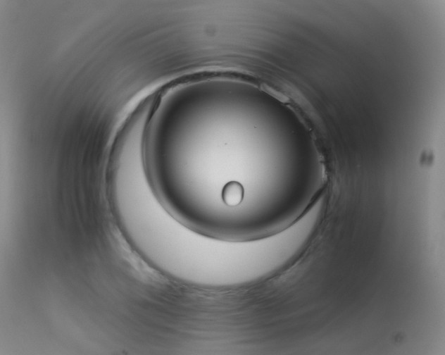 X0000113251076200909171620