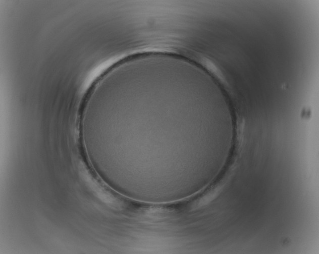 X0000113251077200909171620