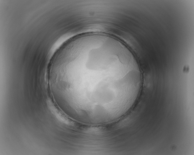 X0000113251078200909171620