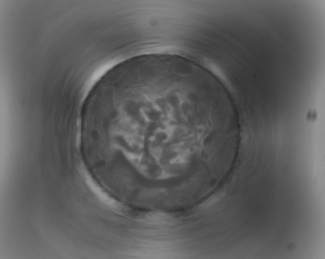 X0000113251079200909171620