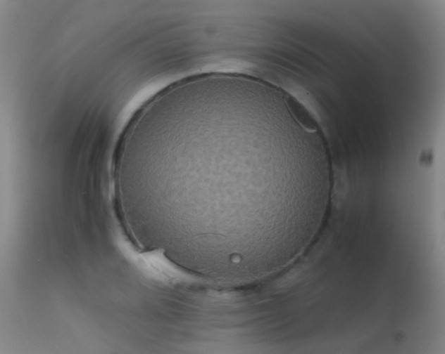 X0000113251080200909171620