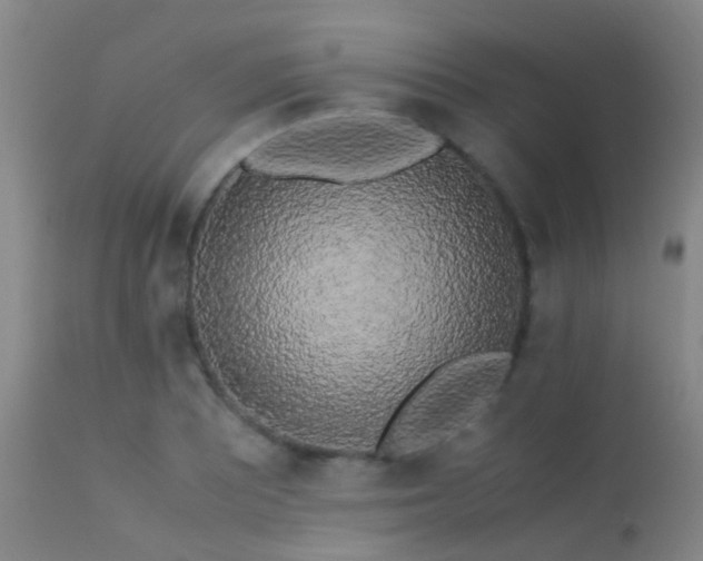 X0000113251081200909171620