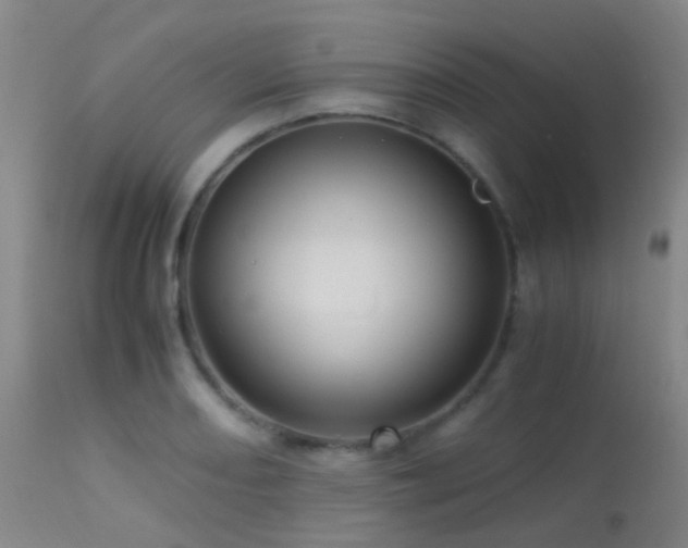 X0000113251082200909171620