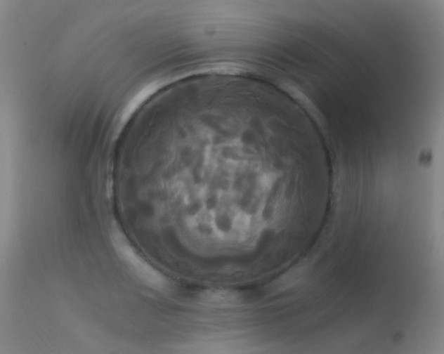 X0000113251083200909171620