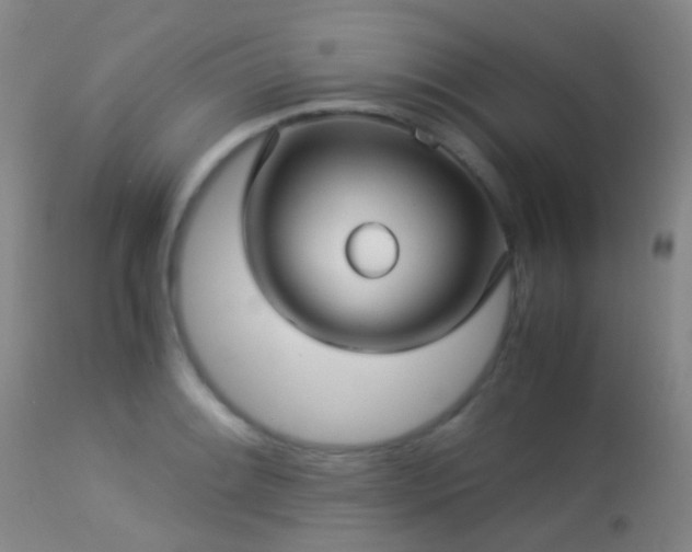 X0000113251084200909171620