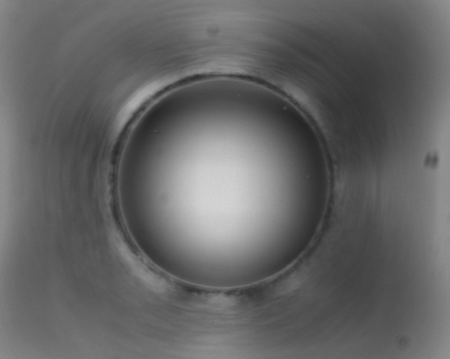 X0000113251085200909171620