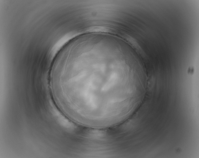 X0000113251086200909171620