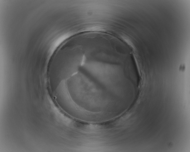 X0000113251087200909171620