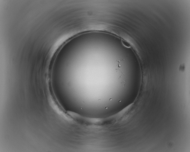 X0000113251088200909171620