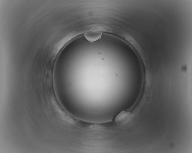 X0000113251089200909171620