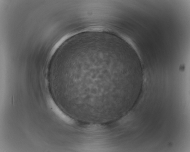 X0000113251091200909171620