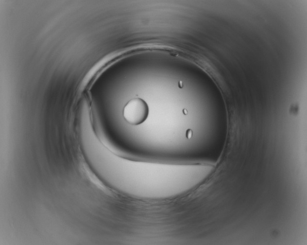 X0000113251092200909171620