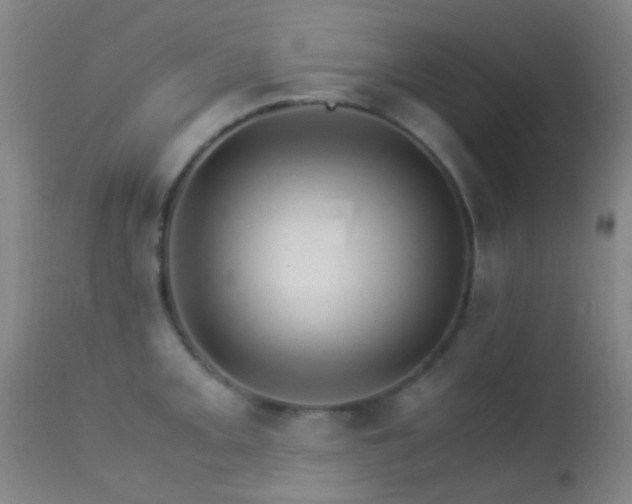 X0000113251093200909171620