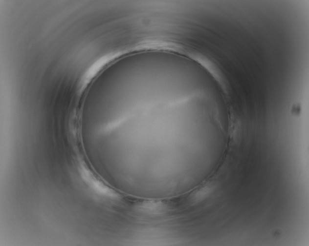 X0000113251094200909171620