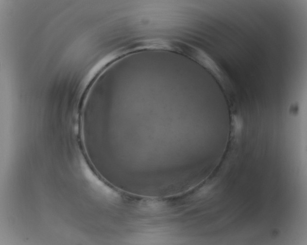 X0000113251095200909171620