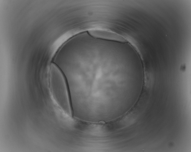 X0000113251096200909171620