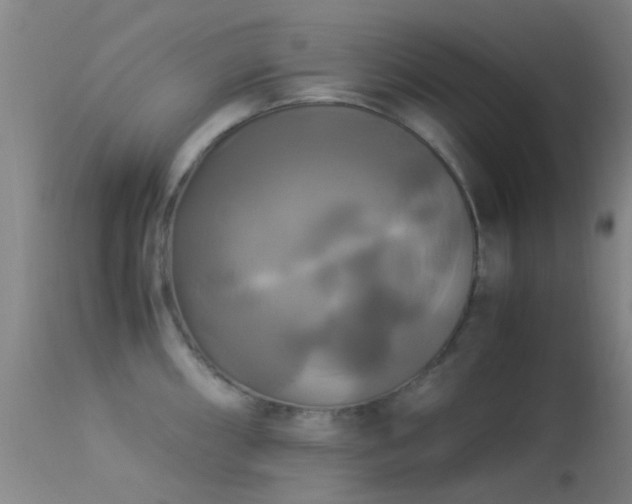 X0000113251098200909171620