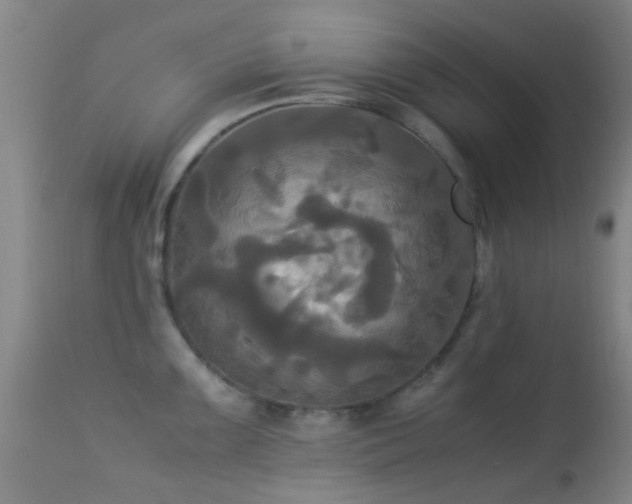 X0000113251099200909171620