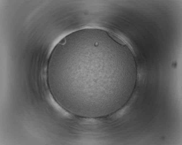 X0000113251100200909171620