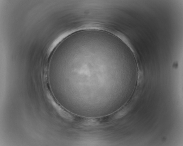 X0000113251101200909171620