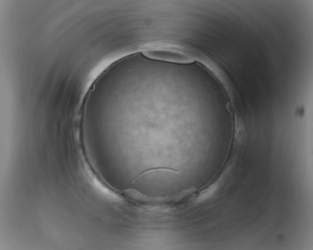 X0000113251102200909171620