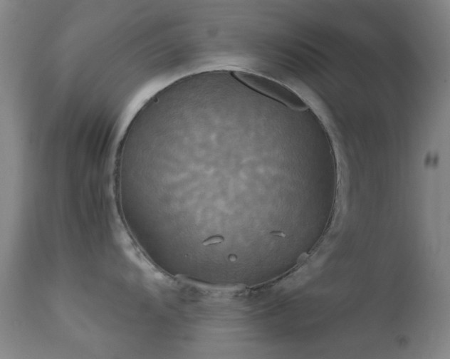 X0000113251104200909171620