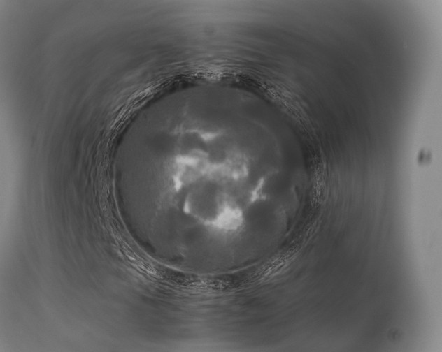 X0000113251105200909171619