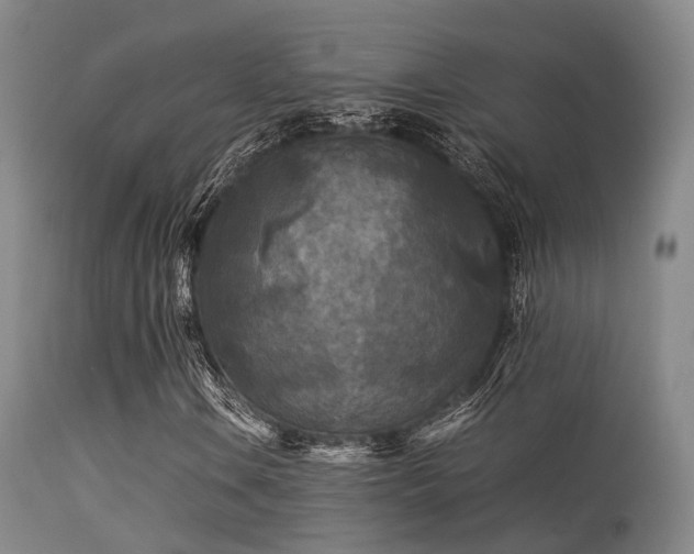 X0000113251106200909171619