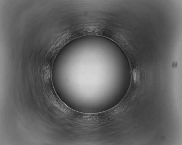 X0000113251107200909171619