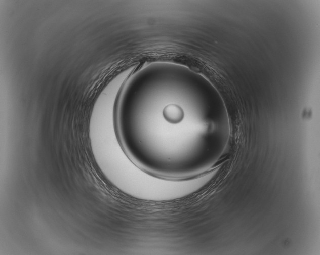 X0000113251108200909171619