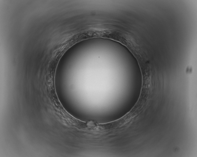 X0000113251109200909171619