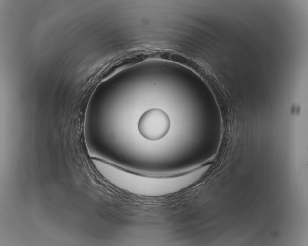 X0000113251110200909171619