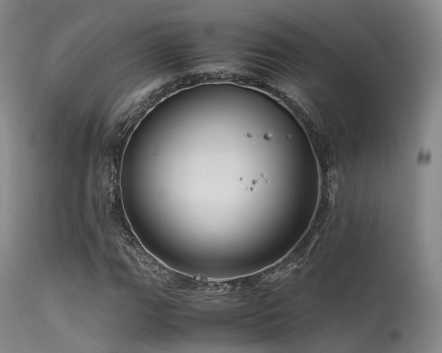 X0000113251111200909171619