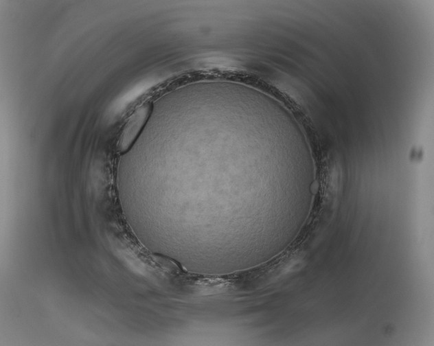 X0000113251112200909171619