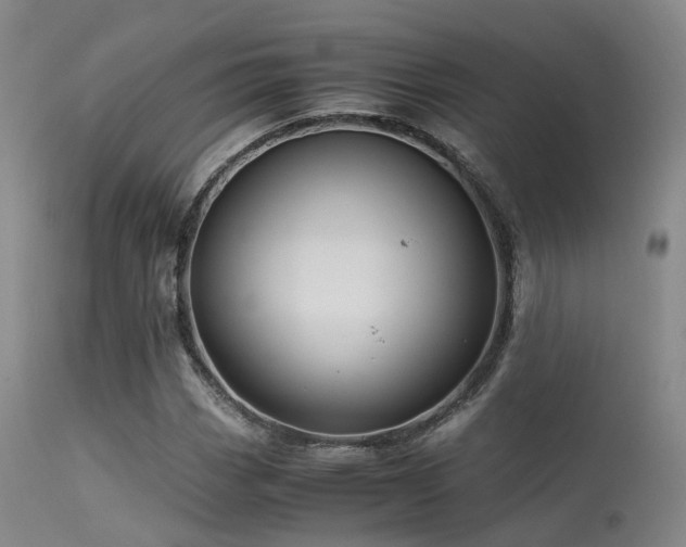 X0000113251113200909171619