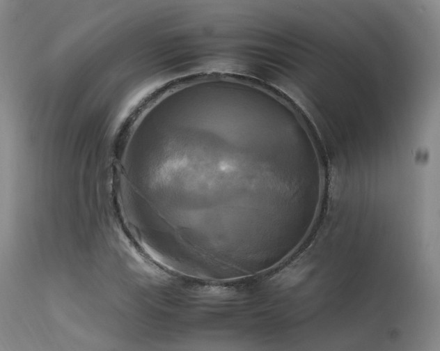 X0000113251115200909171619