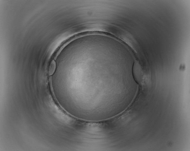 X0000113251116200909171619