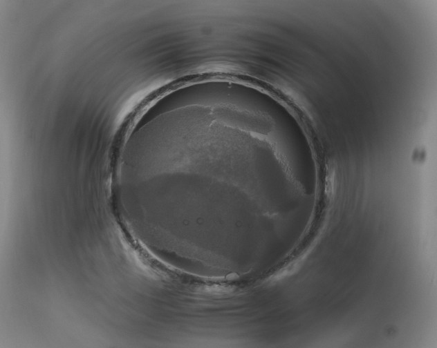 X0000113251117200909171619