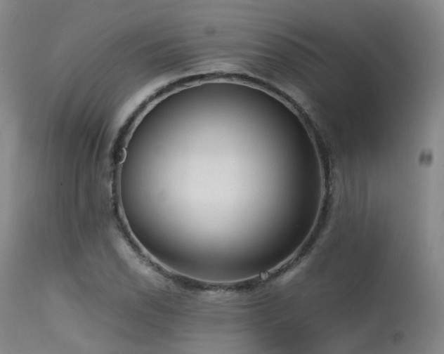 X0000113251118200909171619