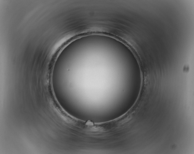 X0000113251119200909171619