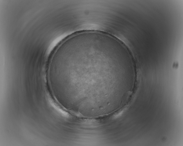 X0000113251120200909171619