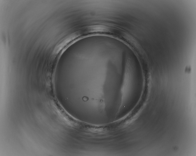 X0000113251121200909171619